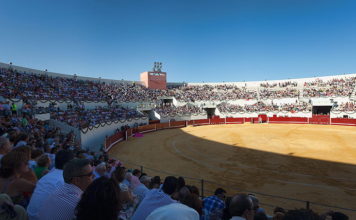 Vista de la nueva plaza de toros de Utrera.